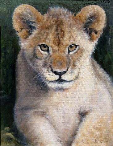 Lion Cub - portrait - SOLD - African Lion Cub by Sally Berner