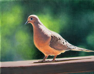 Mourning Glory- Courtesy Edgewood Orchard Gallery, Fish Creek, WI - Mourning Dove SOLD by Sally Berner