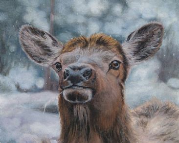 Ms. Elk SOLD - Elk Cow - Was in Paint the Parks Mini 50  by Sally Berner