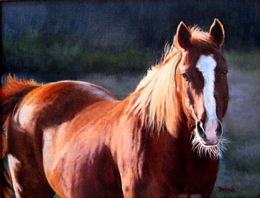 Whiskers - SOLD - Horse backlit by Sally Berner