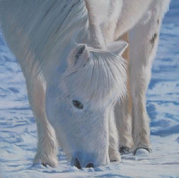 Winter Coat - SAA Art & the Animal Juried Exhibit  - White Shetland Pony - SOLD by Sally Berner