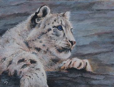 Snow Leopard - snow leopard by Lauren Bissell