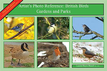 Artist's Photo Reference: British Birds. Gardens and Parks - BIRDS. Photographic reference and art demonstrations by Lauren Bissell
