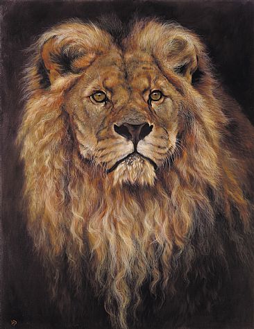 Kingdom - African Lion by Lauren Bissell