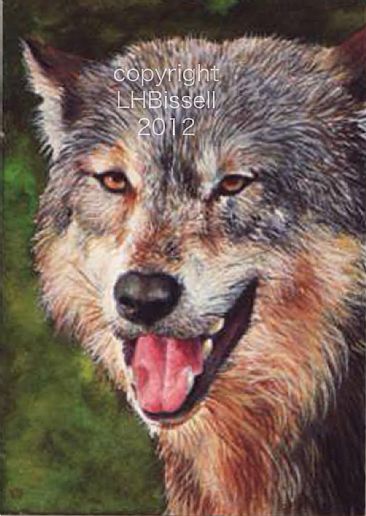 Wolf- Autumn Gold - Wolf by Lauren Bissell