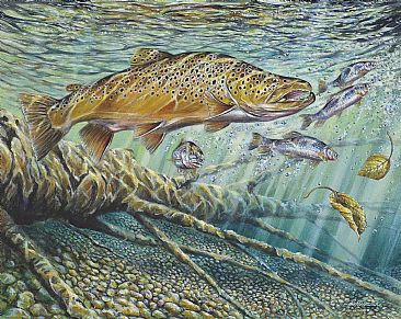 Clear Water Brown - Brown Trout by Curtis Atwater