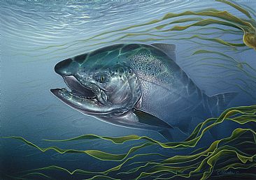 Portrait of a Tyee - Chinook Salmon by Curtis Atwater