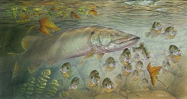 Bluegill Hunter - Muskellunge by Curtis Atwater