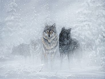 Wolf Pack - Wolves by Curtis Atwater
