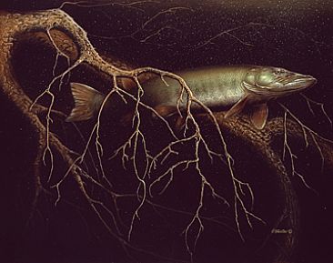 Giant of the Deep - Muskellunge Fish by Curtis Atwater