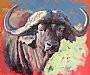 Cape Buffalo - Demonstration painting by Gregory Wellman (2)