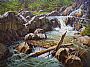 Bluebird Cascade - waterfall with bluebird by Jack Koonce (2)