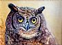 Eagle Owl - Birds of Prey by Peter Blackwell (2)