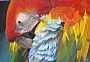 Scarlet Blues - Scarlet Macaw by Tom Altenburg (2)