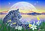Family Time - White Tiger by Kentaro Nishino (2)
