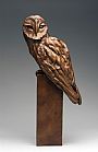 Lechuza - Owl by Diana Reuter-Twining (2)