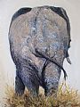 The end - African elephant by Gloria Chadwick (2)