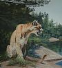 Northern Lookout - Cougar by Cheryl Battistelli (2)