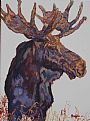 Modifier - Moose,Mother,animal,wildlife,Snake River,landscape by Patricia Griffin (2)