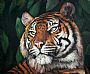 Tiger - tiger by Cindy Billingsley (2)