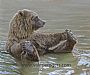 Bathing Bear -  by Valerie Rogers (2)