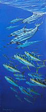 In The Mix - Spinner Dolphins and Yellowfin Tuna by Frank Walsh (2)