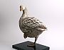 Resting Goose - Embden goose by Peter Gray (2)