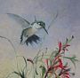 Summer Sprite - Female ruby-throated Hummingbird by Mary Erickson (2)