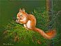 Red Squirrel - wildlife by Patricia Banks (2)