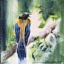 Golden Backed Mountain Tanager - Endangered bird for AFC 2018 by Sandi Lear (2)
