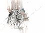  - Wildlife, Cheetah  by Annika Funke (2)