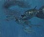  Five Bluefin Tuna and bunker - Bluefin Tuna by Stanley Meltzoff (2)