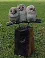 Make Some Room - SOLD - Immature owls by Betsy Popp (2)