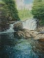 Cascading Falls -  by Arnold Nogy (2)