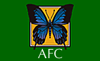 AFC Flag