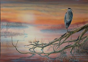 Still Water dawn - Blue Herons by C. Frederick Lawrenson