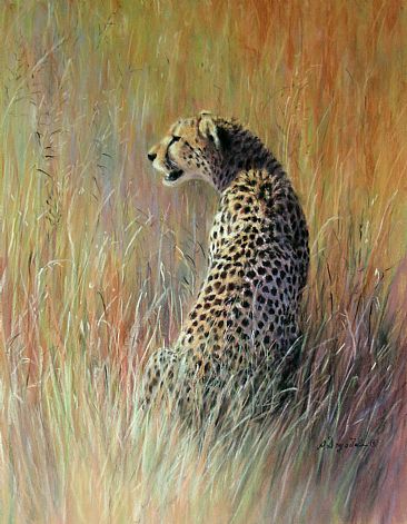 Facing a New Day - Cheetah at first Light, Serengeti, Tanzania by Angela Drysdale