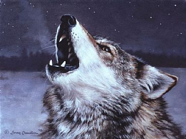 Howling Wolf - Gray Wolf  by Larry Chandler