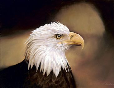 Free Bird - American Bald Eagle by Larry Chandler