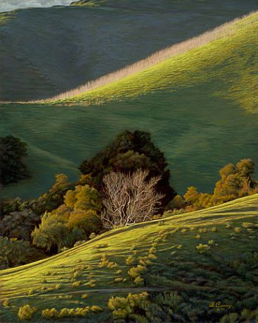 The Light and Dark of Things - Landscape by Dennis Curry