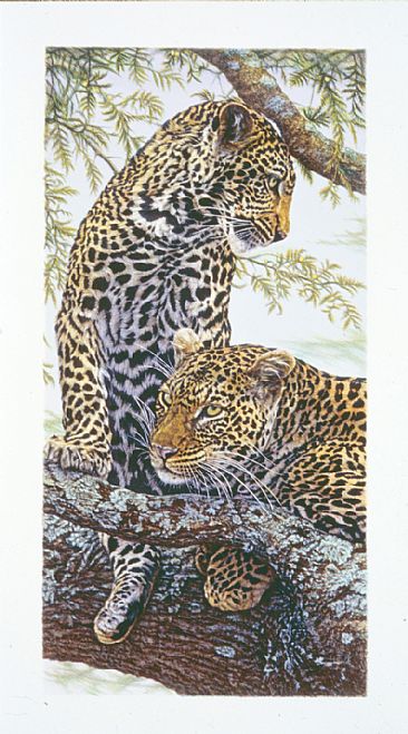 Nature's Pattern - African Leopards by Dennis Curry