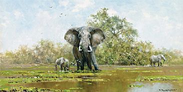 After the Rains - Elephants by David Shepherd