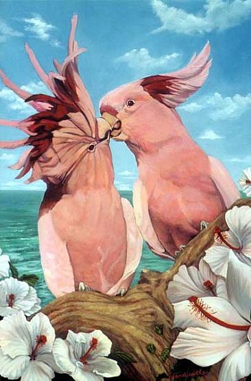First Blush - cockatoos with hibiscus by Thomas Hardcastle