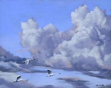 swan sky - swans in flight by Thomas Hardcastle