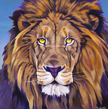 Tracy - lion by Thomas Hardcastle