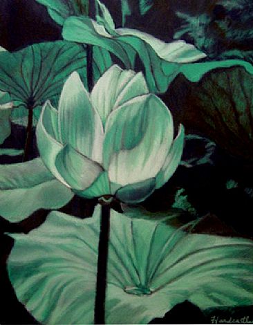 Lotus - lotus blossom by Thomas Hardcastle