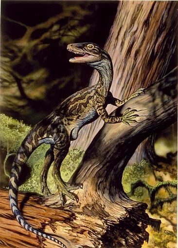 The Sound - Staurikosaurus pricei by Mark Hallett