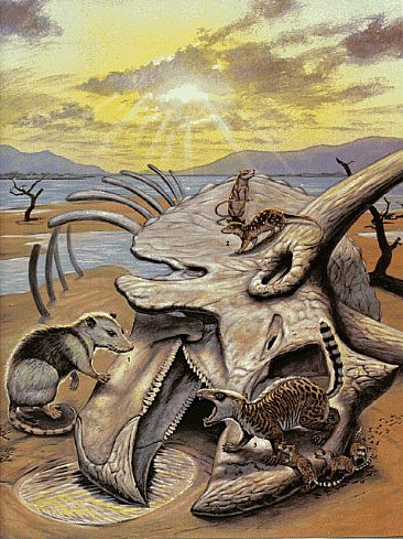 Dawn of A New Day - Paleocene Mammals by Mark Hallett