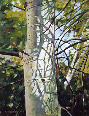 Aspen Shadow - Aspen tree by Rick Wheeler