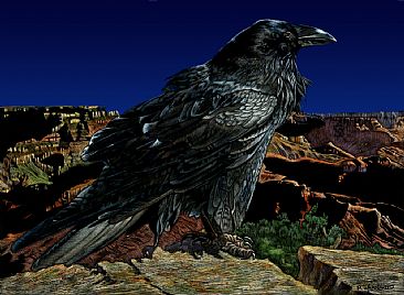 Raven - Raven at south rim, Grand National Park by Rick Wheeler